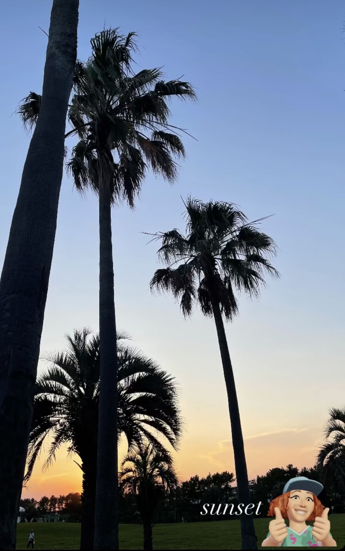 今日のsunset