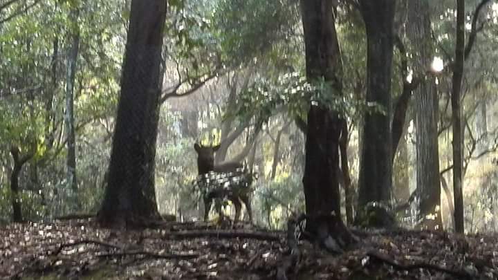 1月23日 人気女性誌JJに掲載されます。✨