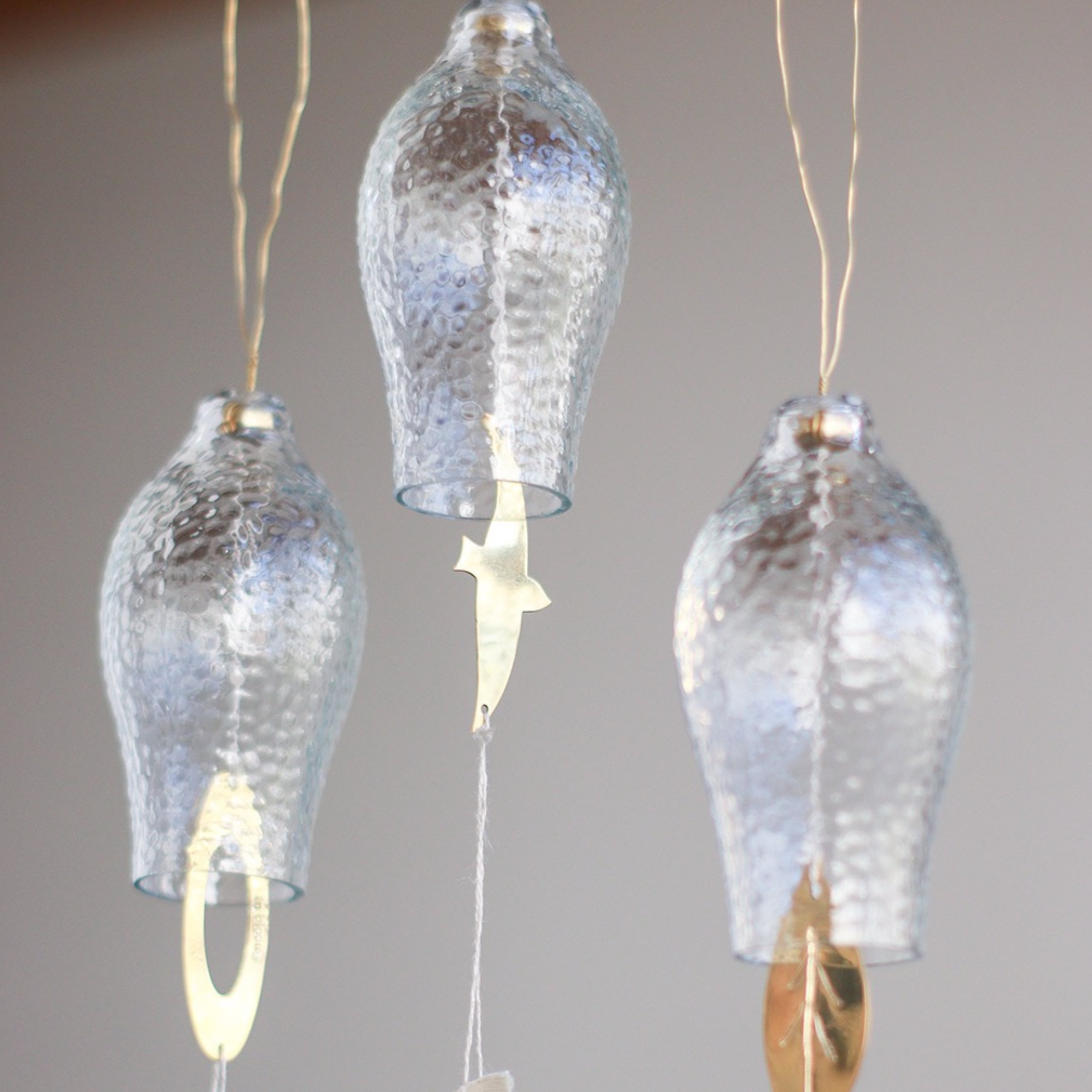 本日の再入荷商品