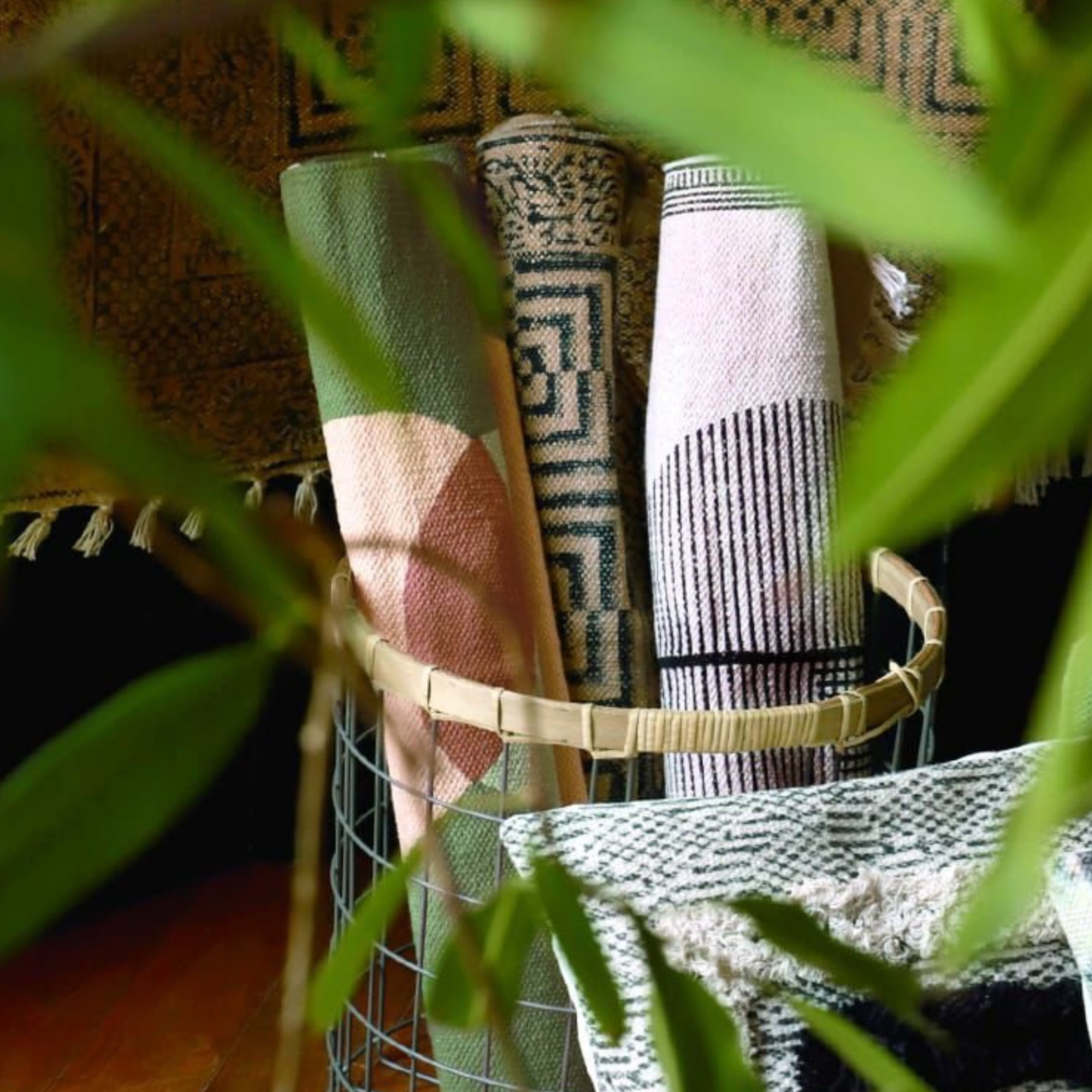 本日の再入荷商品