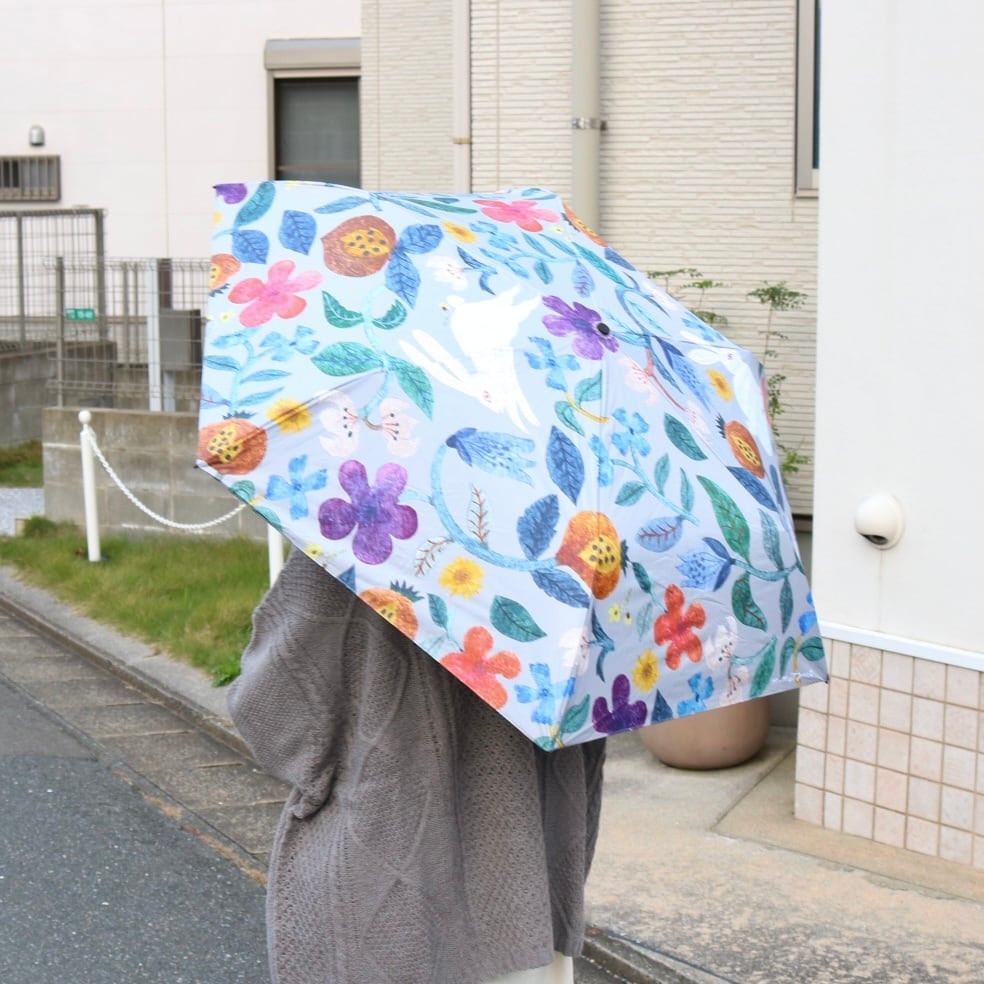 本日の再入荷商品