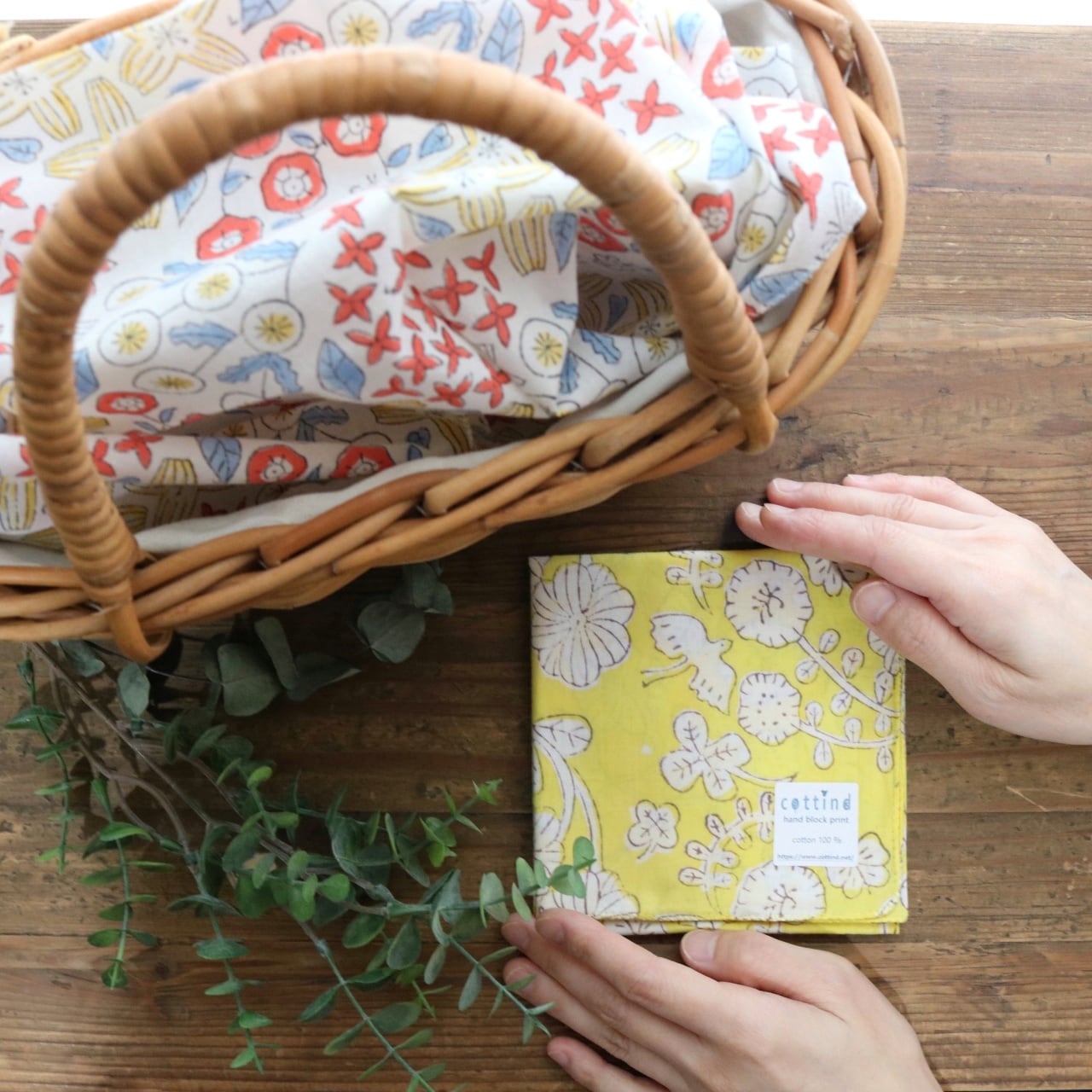 本日の再入荷商品