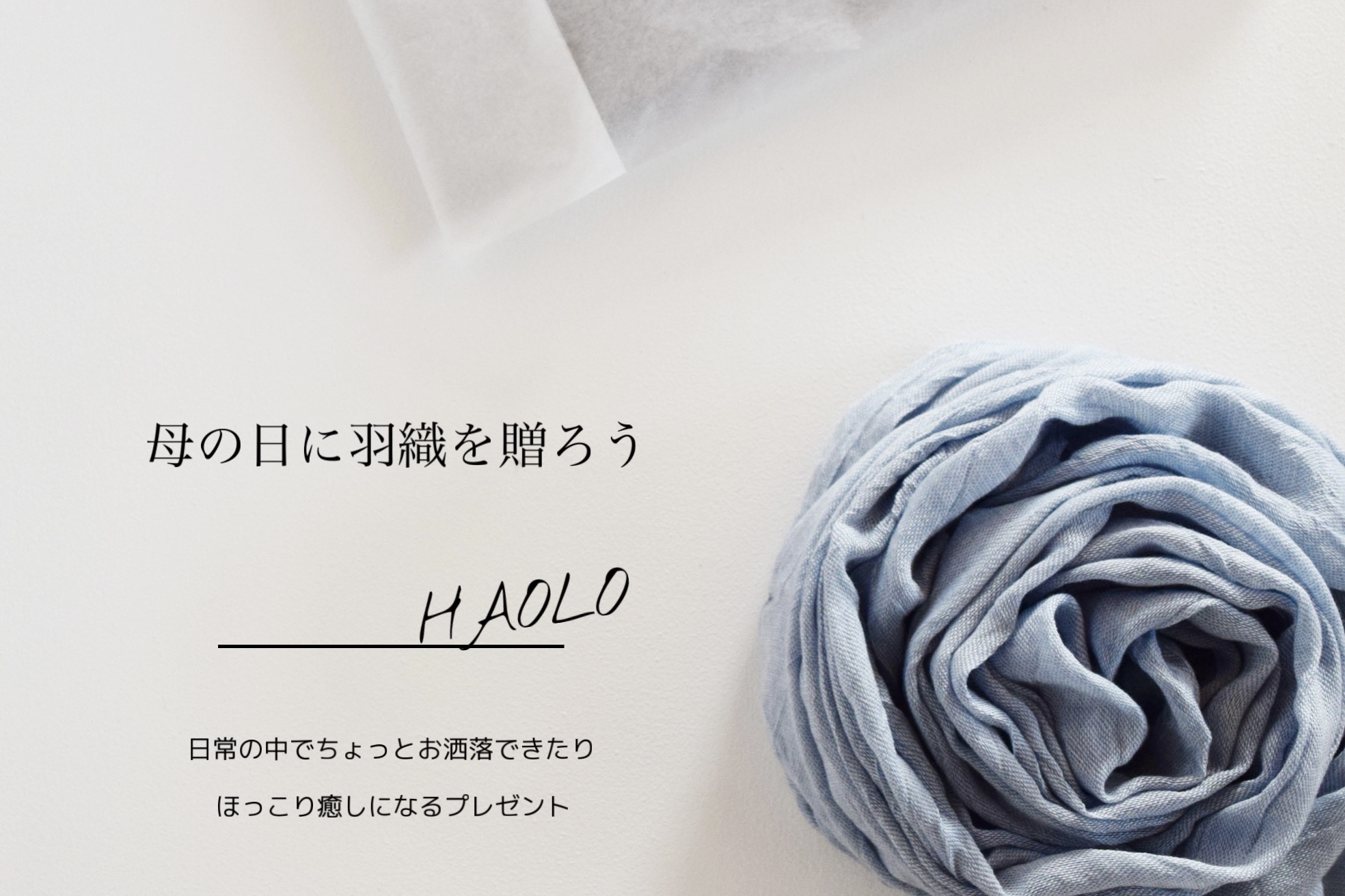 本日の再入荷商品