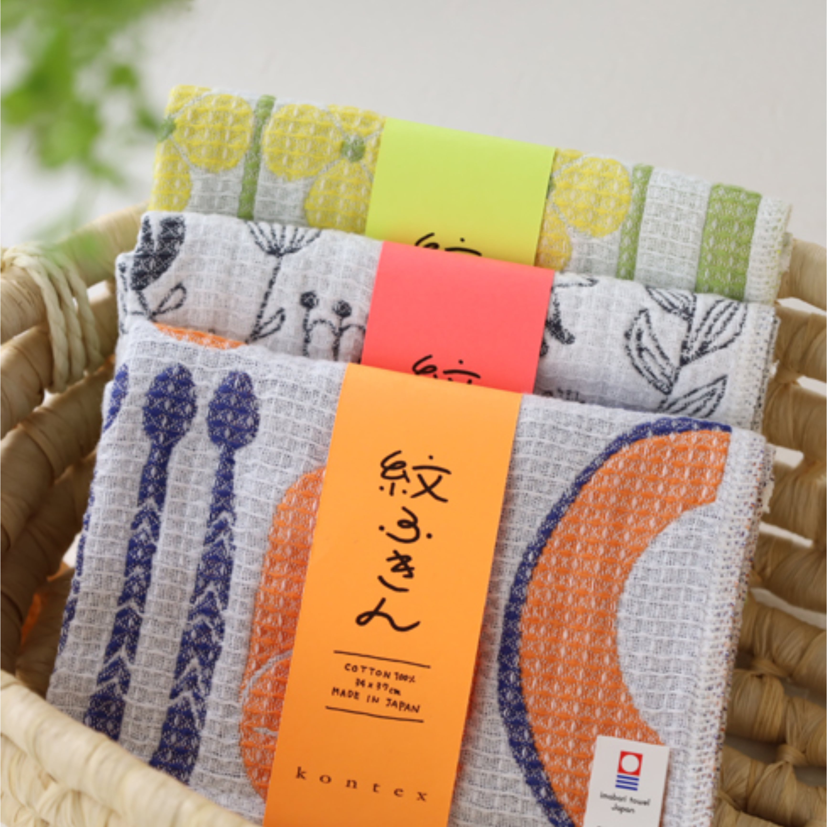 本日の再入荷商品