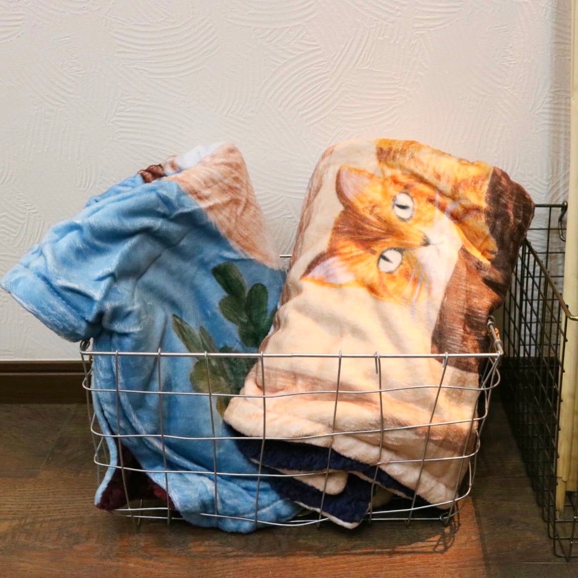新商品入荷