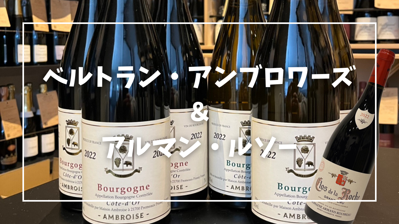 高コスパ ブルゴーニュ！アンブロワーズNEWヴィンテージ！ まさかのワインも。。。