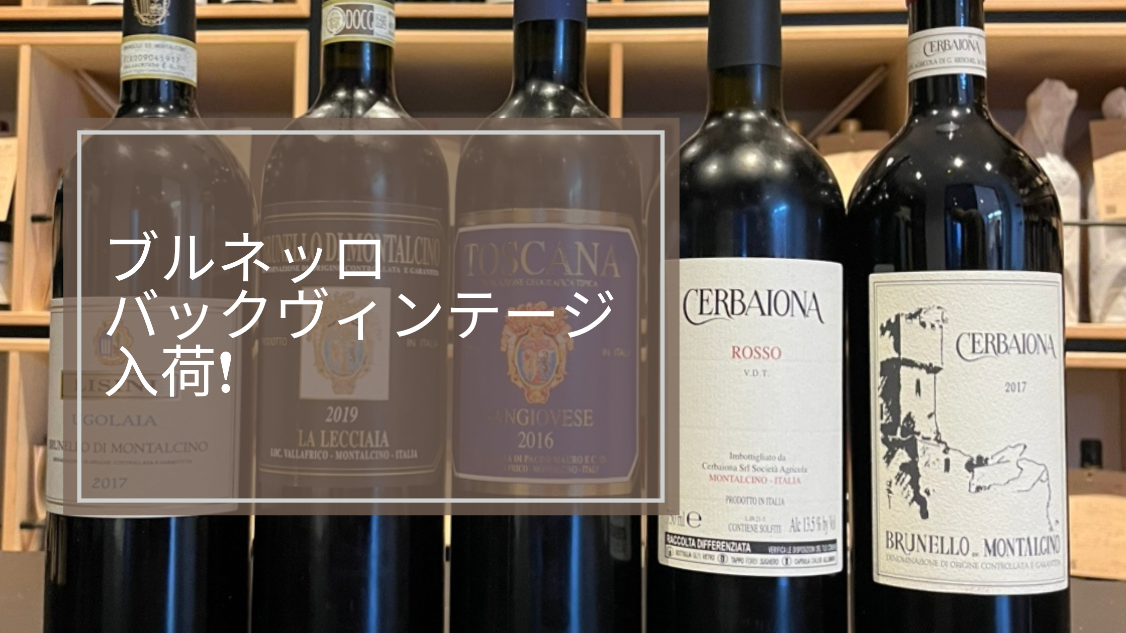 バックヴィンテージ　トスカーナ特集！