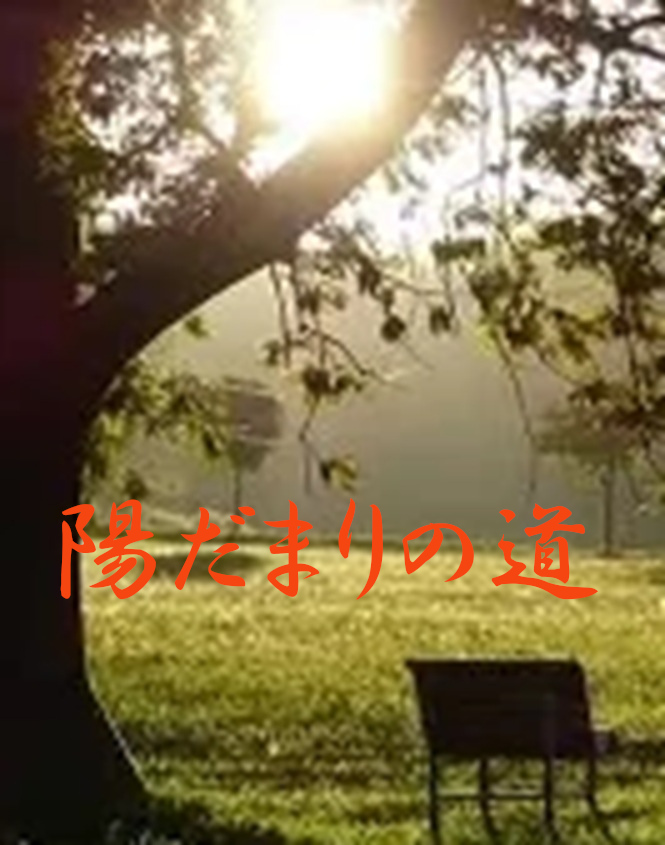 陽だまりの道