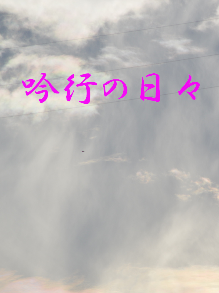 吟行の日々