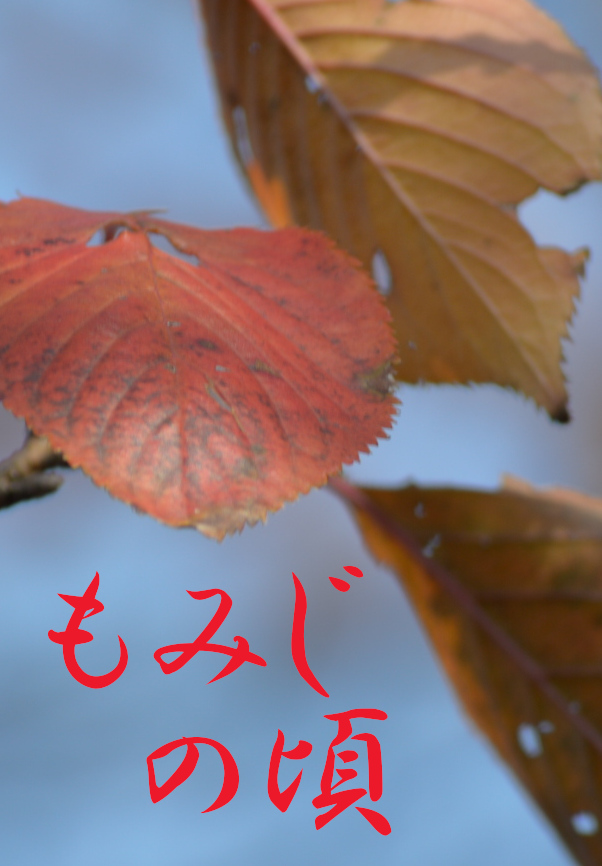もみじの頃：試し読み