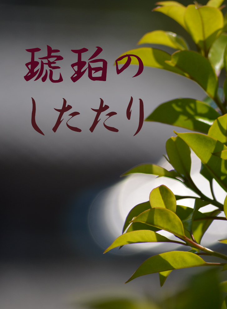 琥珀のしたたり：試し読み