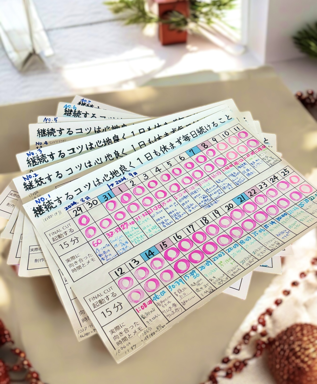 人生を好転させる習慣の力／2025年1月13日記