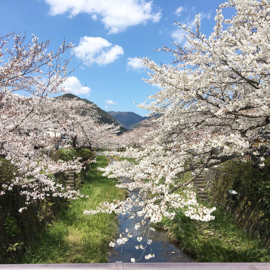 日本到着