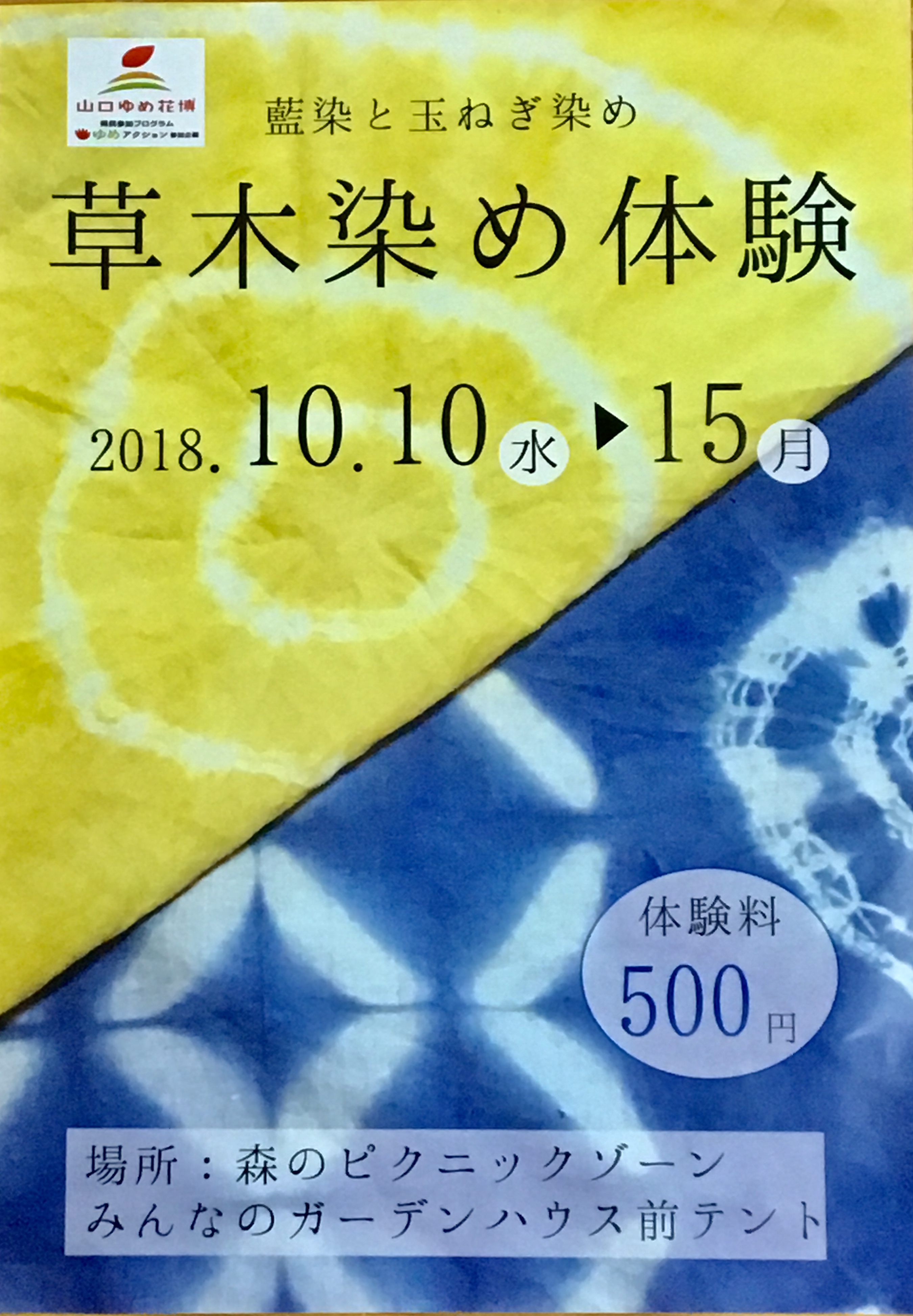 草木染め体験 初日