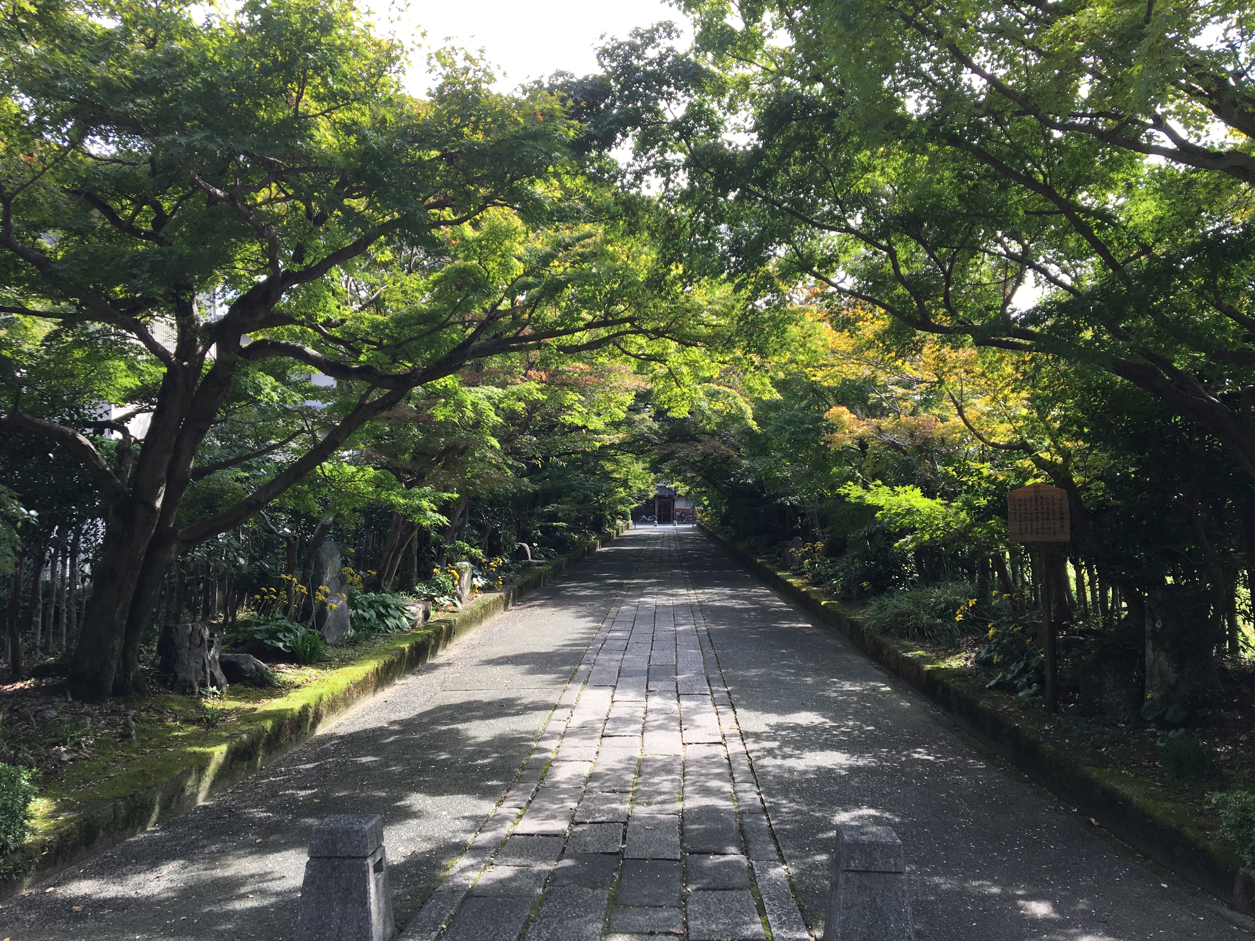 いままでの事 2