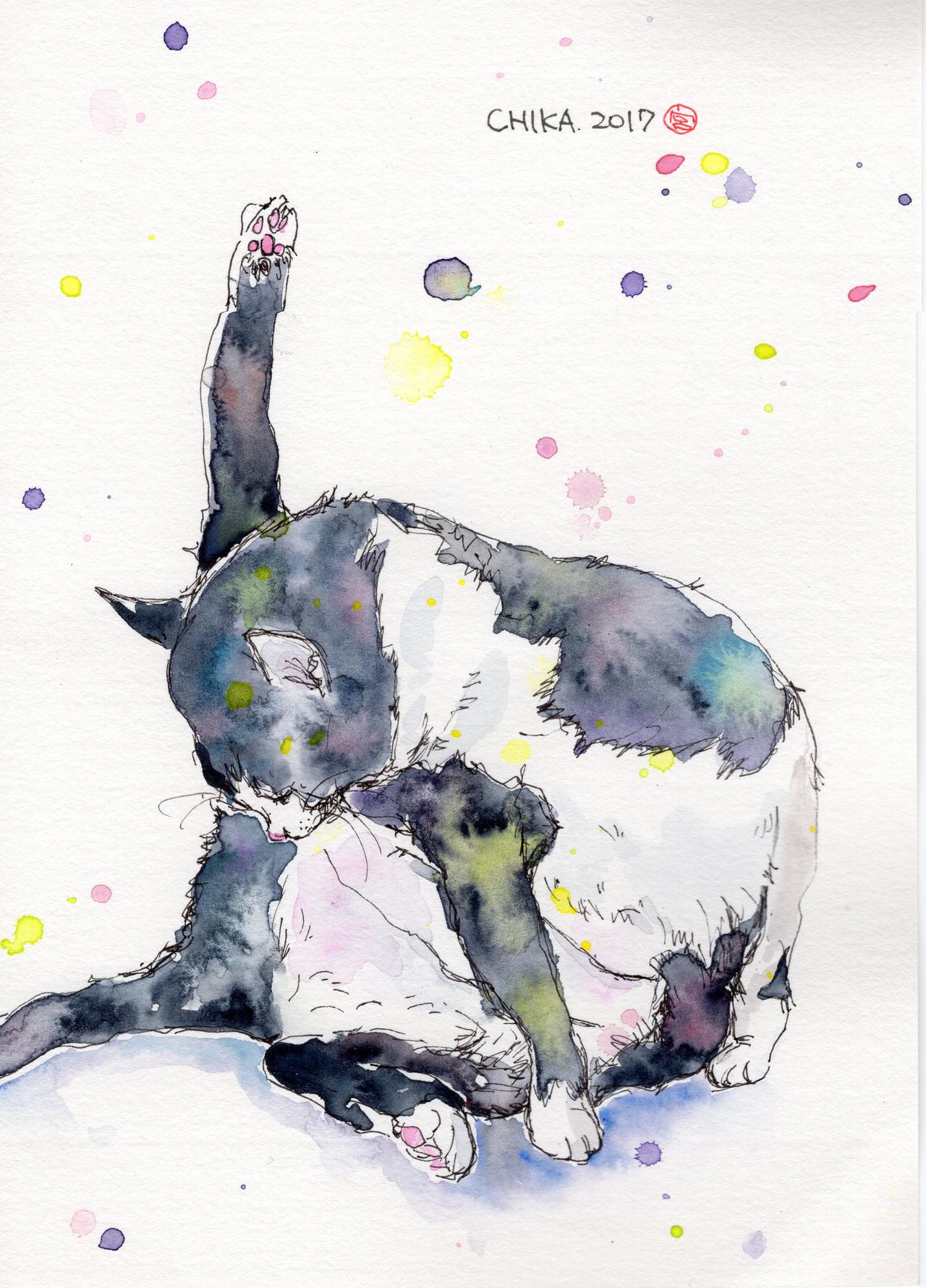 作品紹介その２「ヨガ猫」