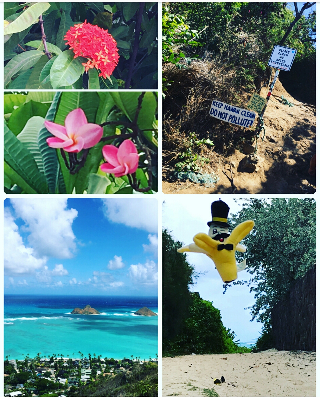 ALOHA こちらはハワイ16日(Mon)PM5:20
