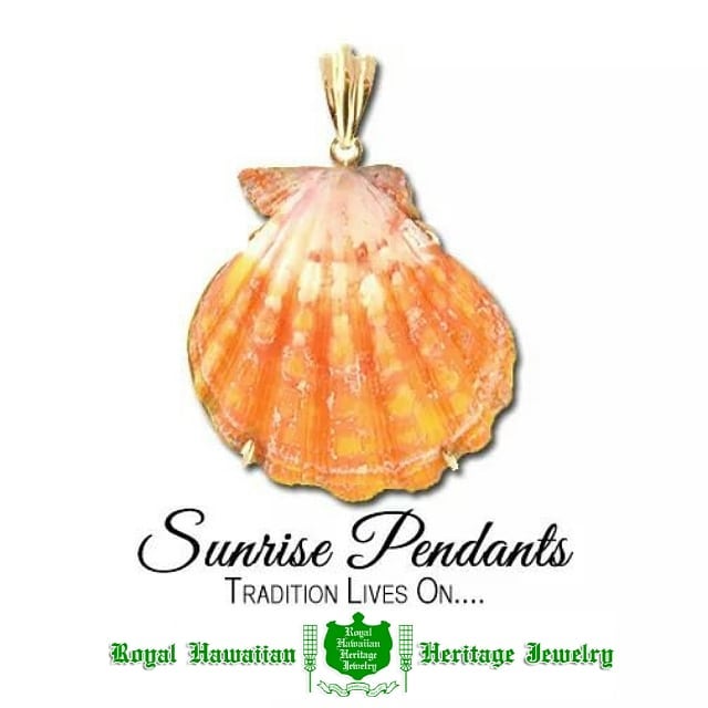 Sunrise Pendants  関東地方は木曜日にまた雪の予報
