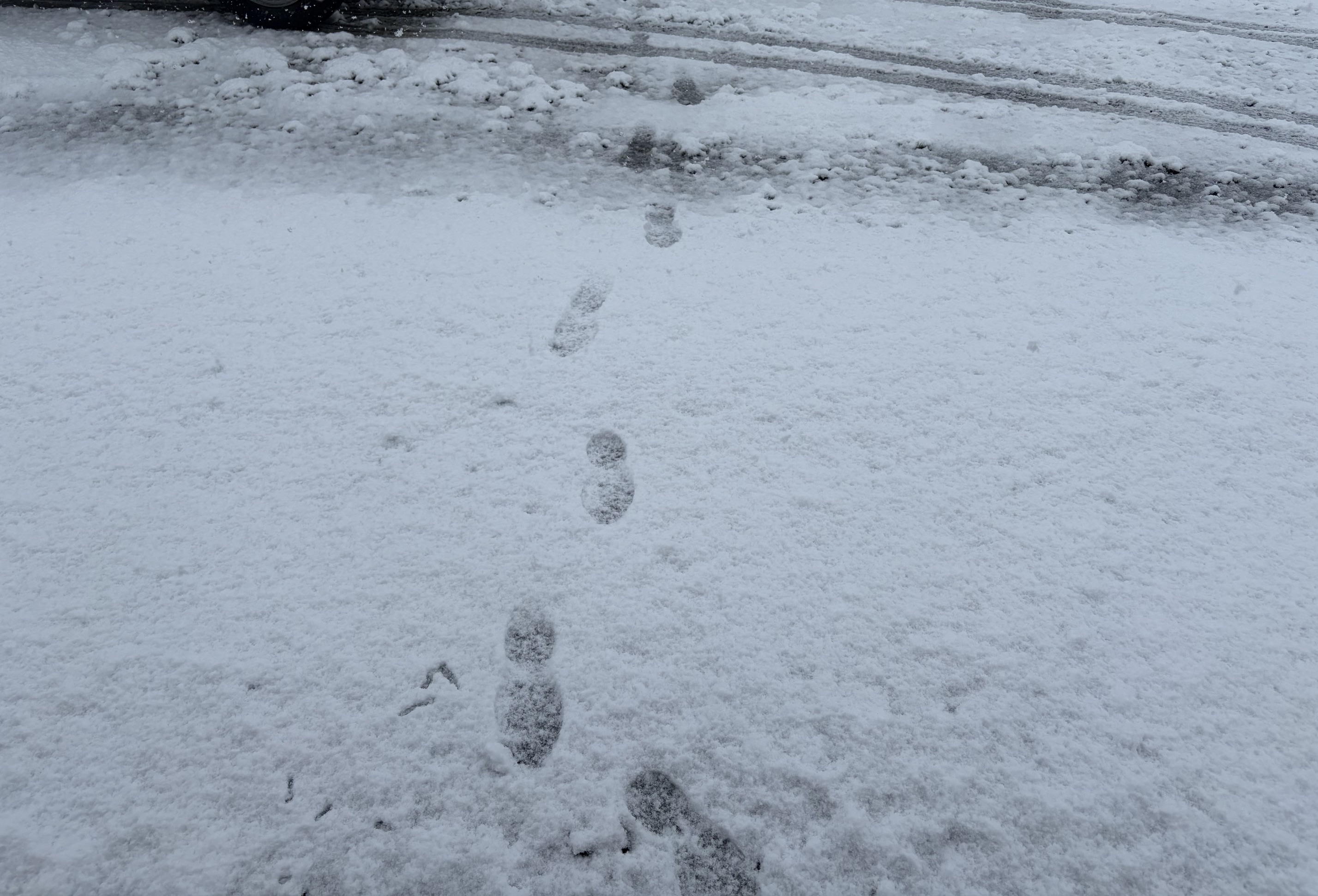 雪