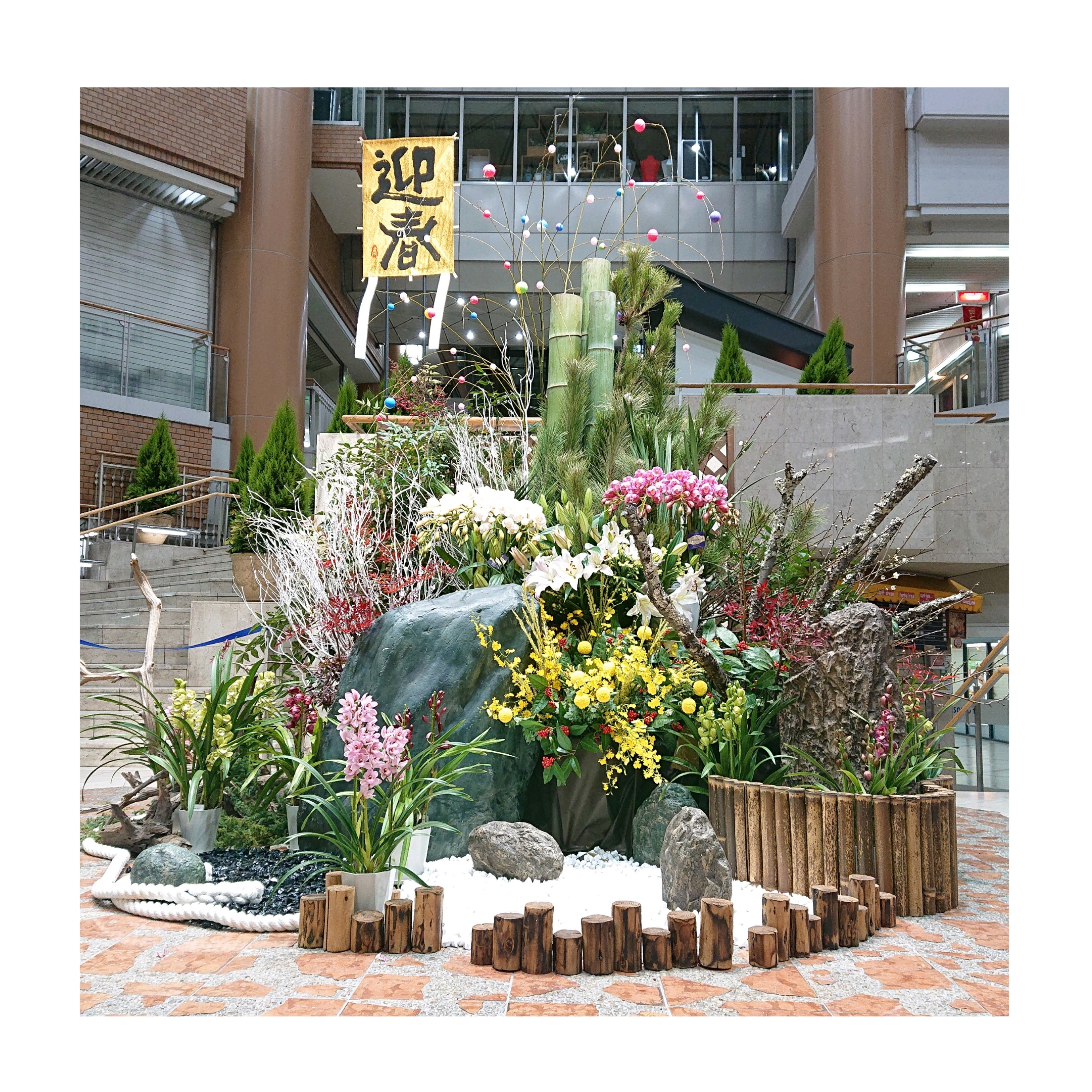 🎍明けましておめでとうございます🎍
