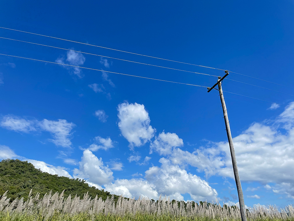 商品を選ぶときに大切にしていること