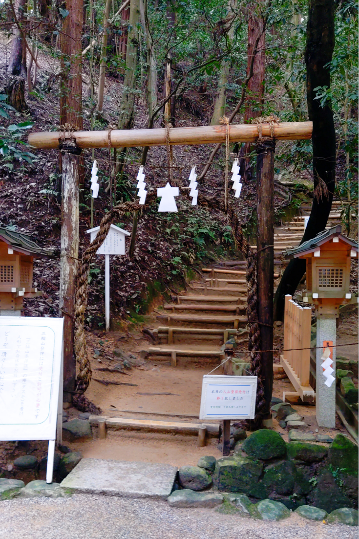 出直して参りました🙏