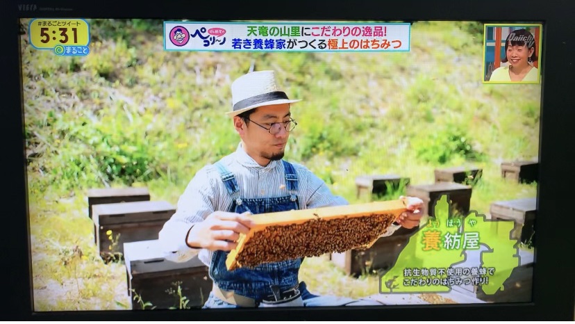 静岡テレビ まるごと「ずん飯尾のぺこり〜の」で放送されました