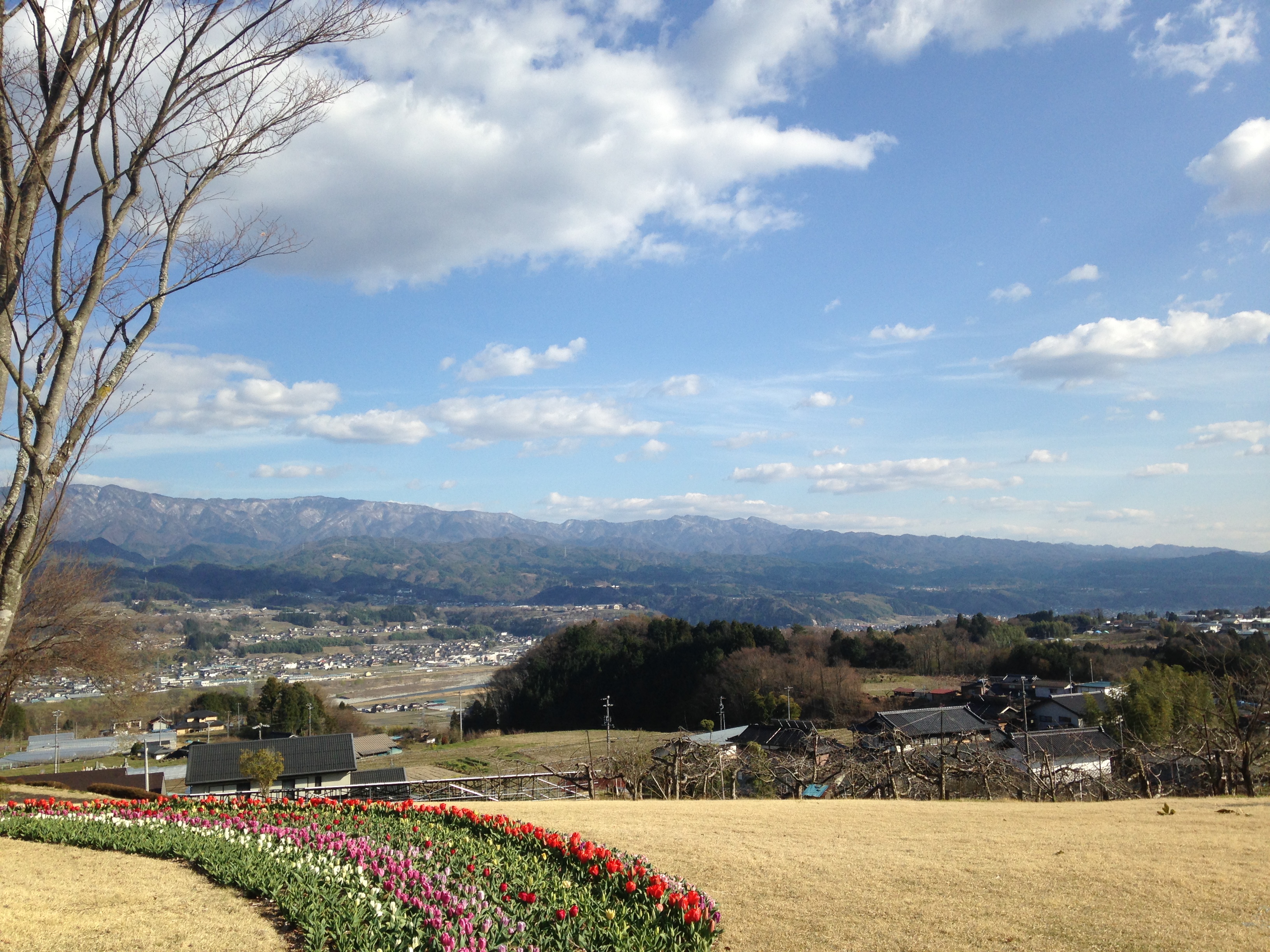丸山公園でひといき