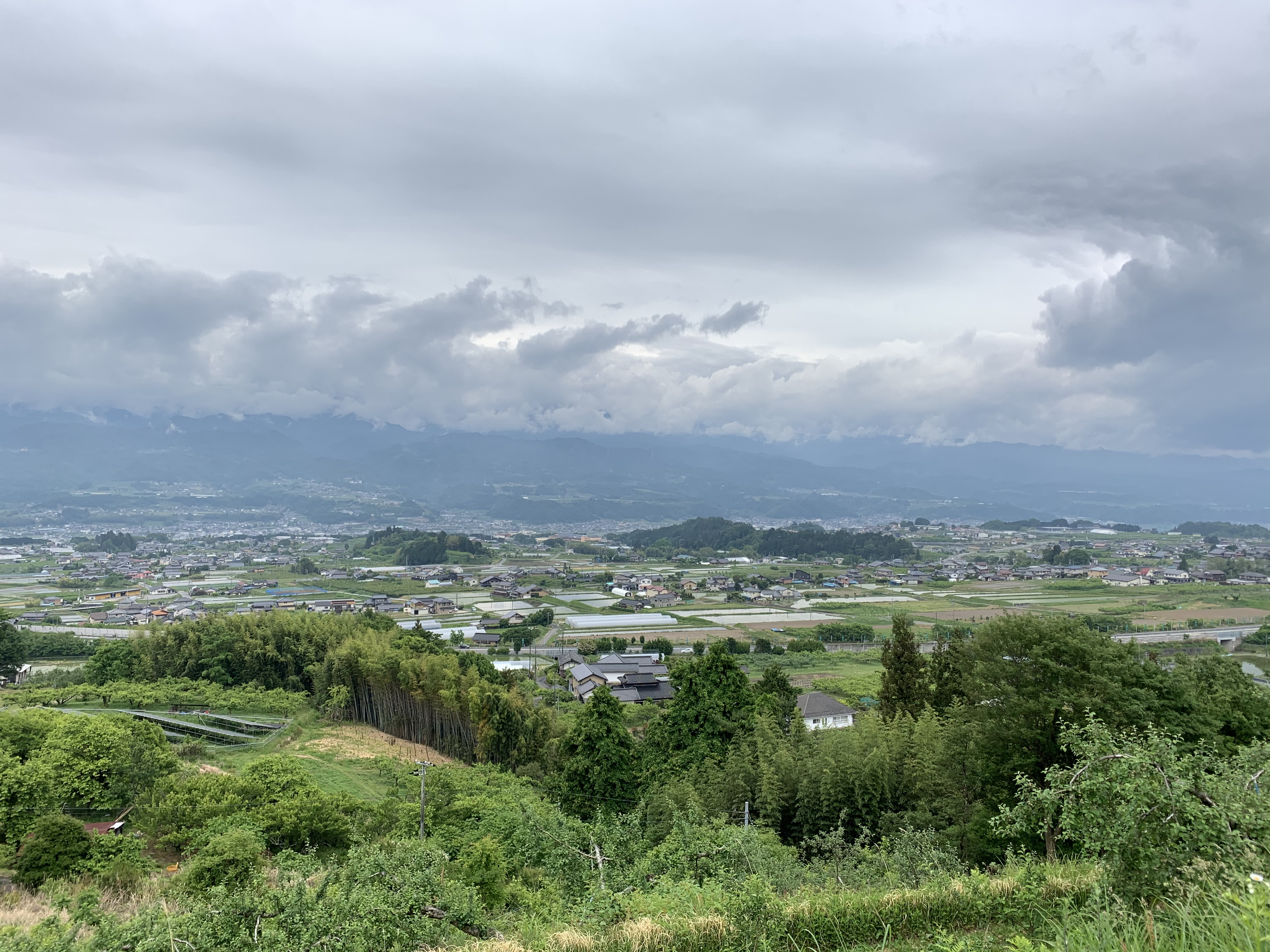 6月になりました！