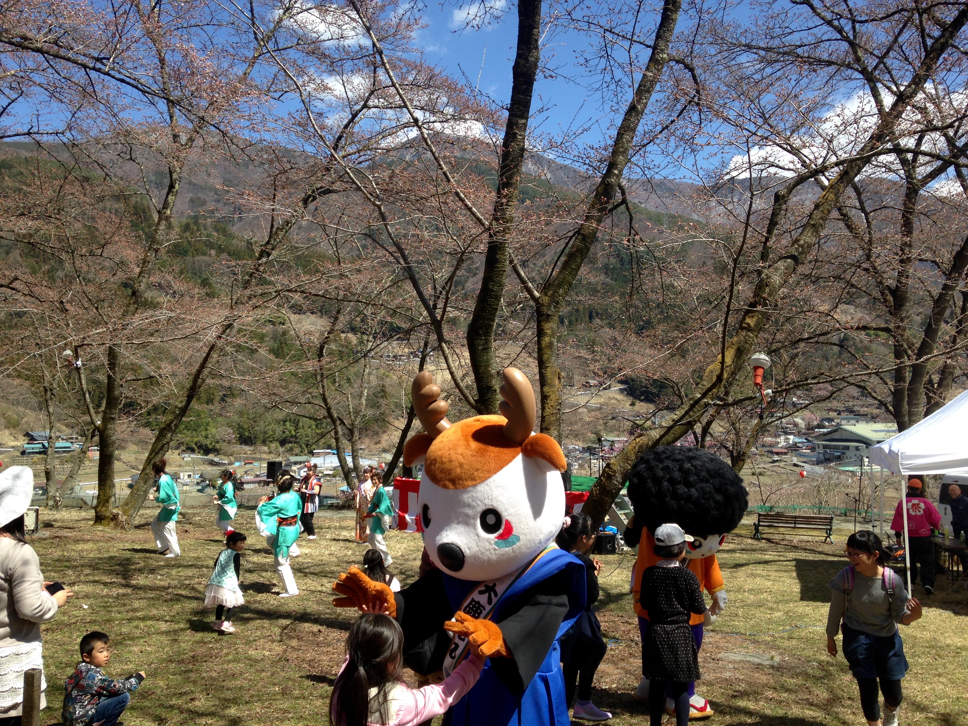 大鹿村へ♪ さくら祭り