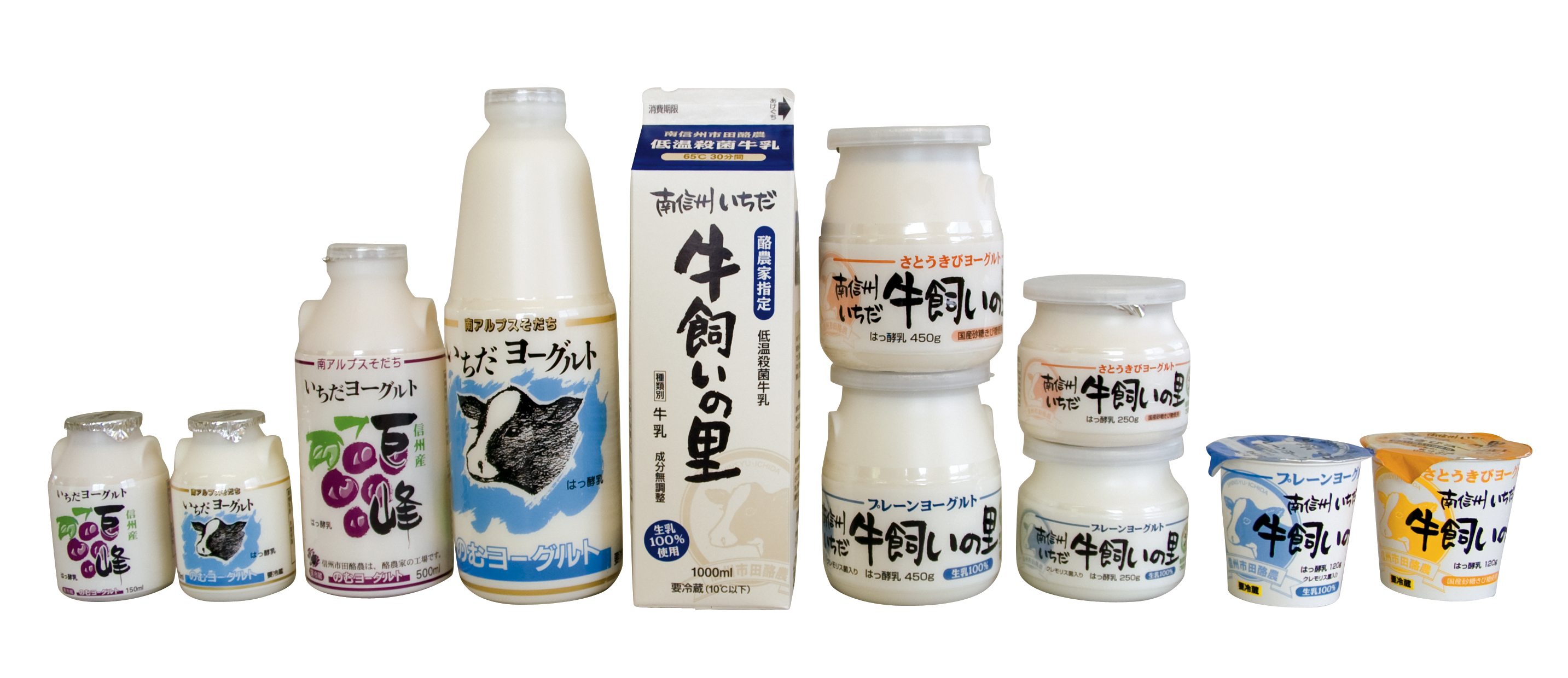 お歳暮に『濃厚ヨーグルト』で感動をお贈りしませんか！