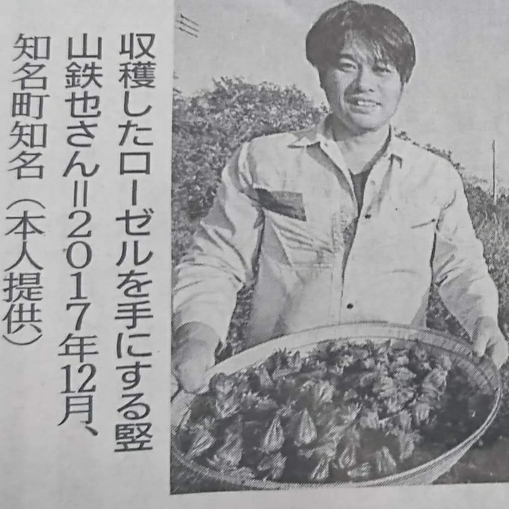 初めての、新聞掲載!!