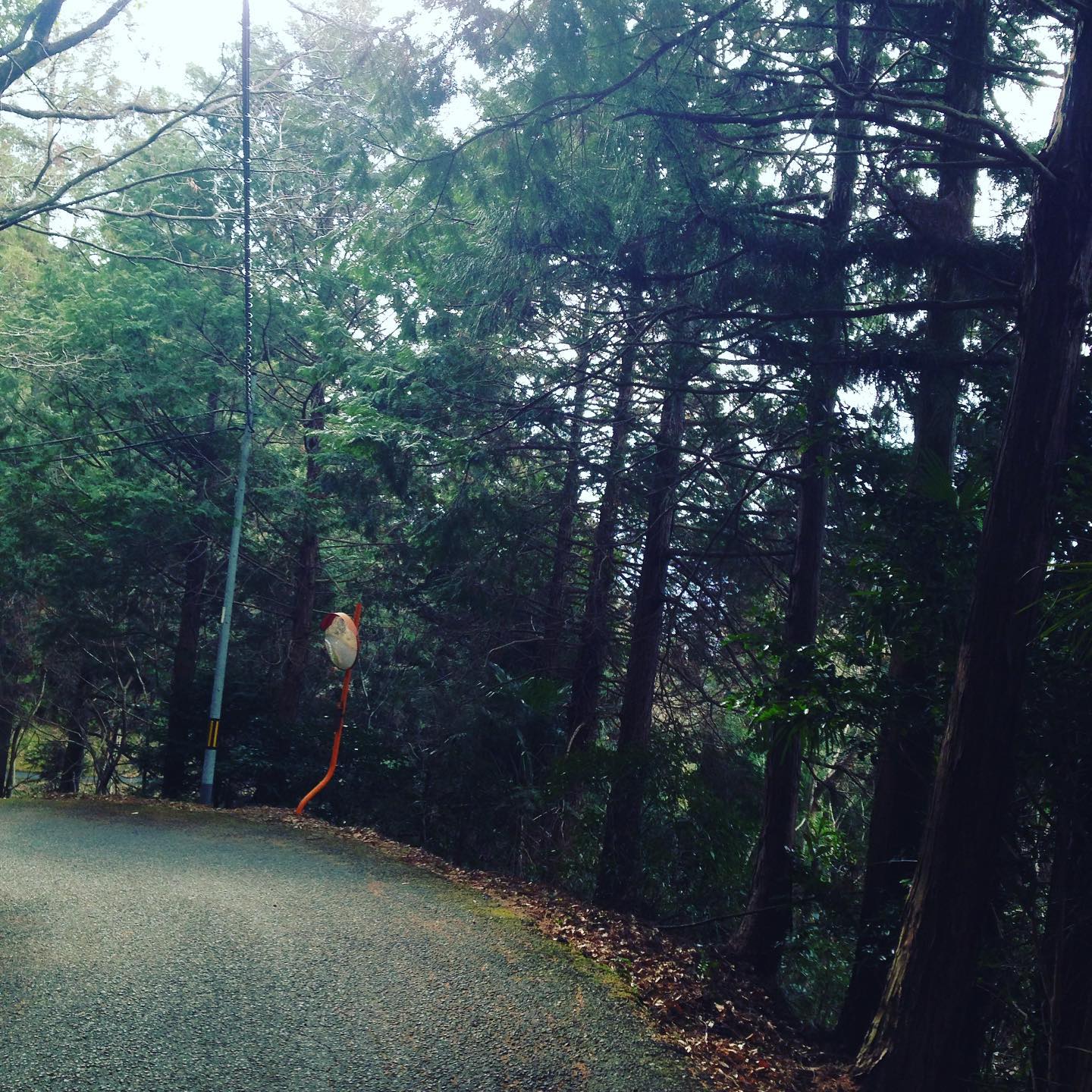 仕入れの旅