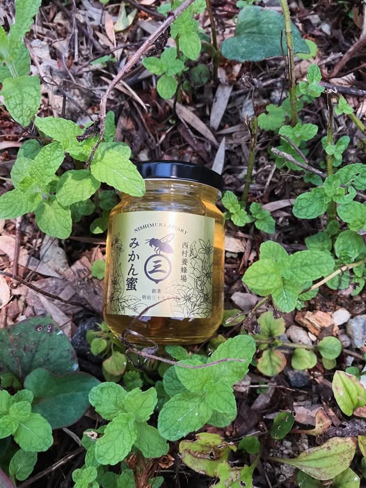 みかん蜂蜜の新蜜、届きました！