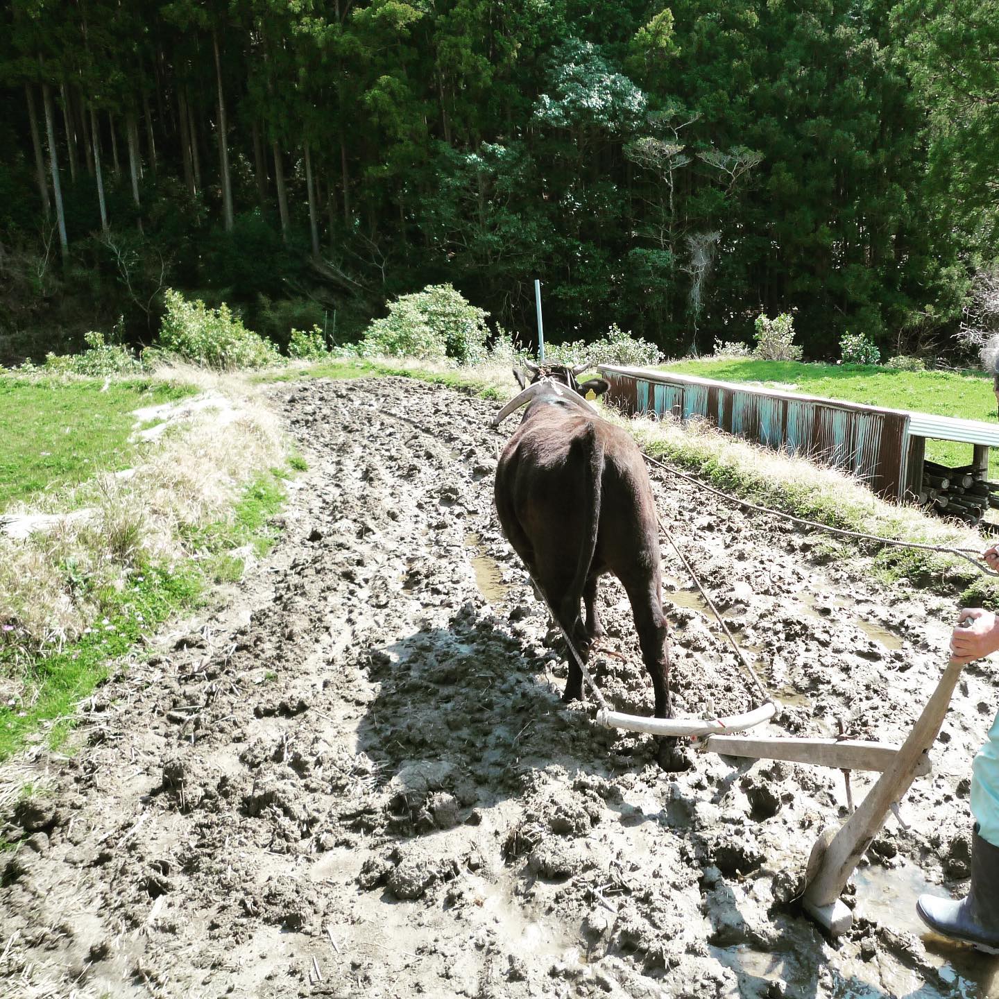 田舎の暮らし？を体験してきました