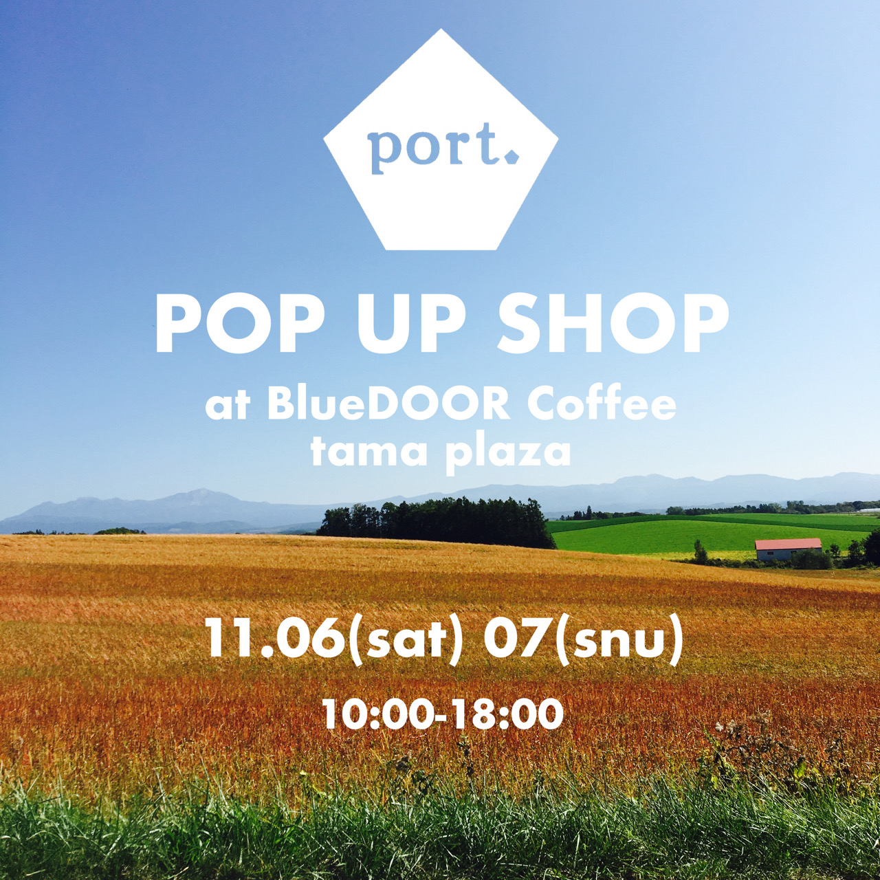 11/6.7 popup in tama plaza