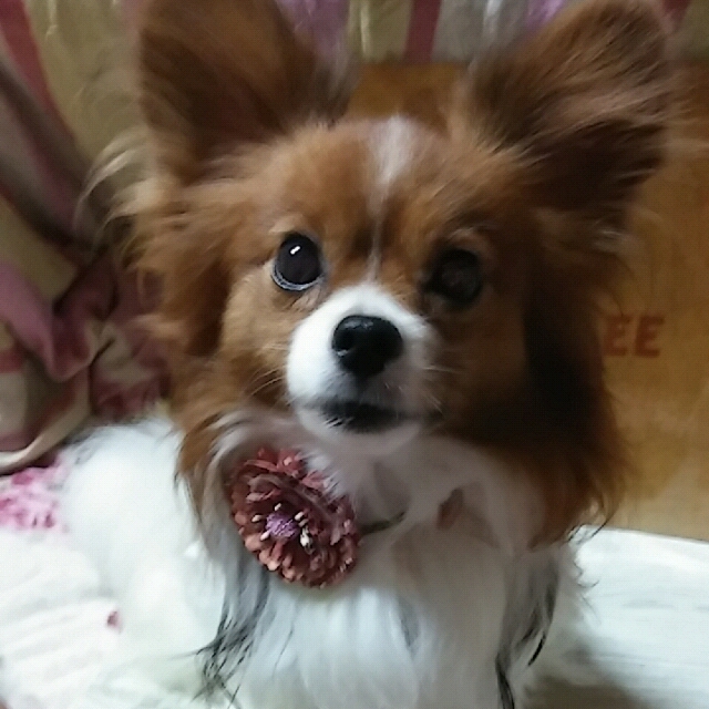 こんにちは♪ ランテーユです。フォロー有難う御座います!