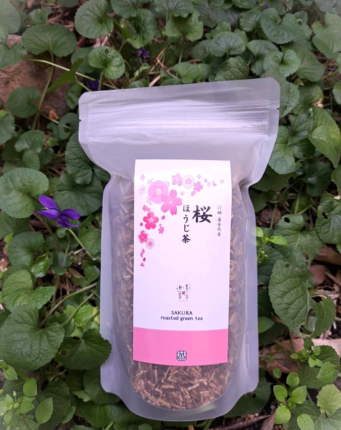 春咲く薫り「桜ほうじ茶」4月15日まで限定発売中！