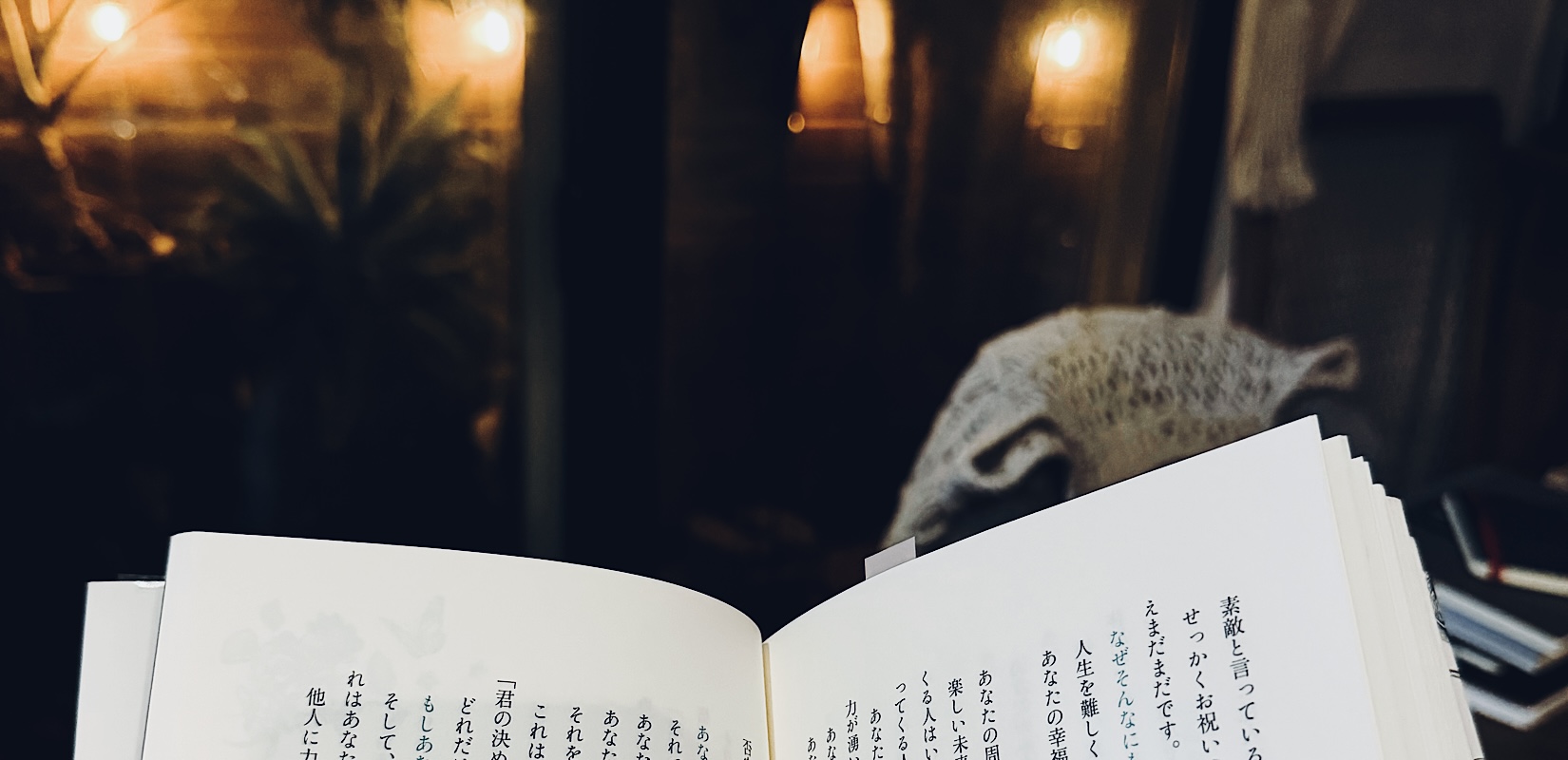 優しさの向きを考えた日。