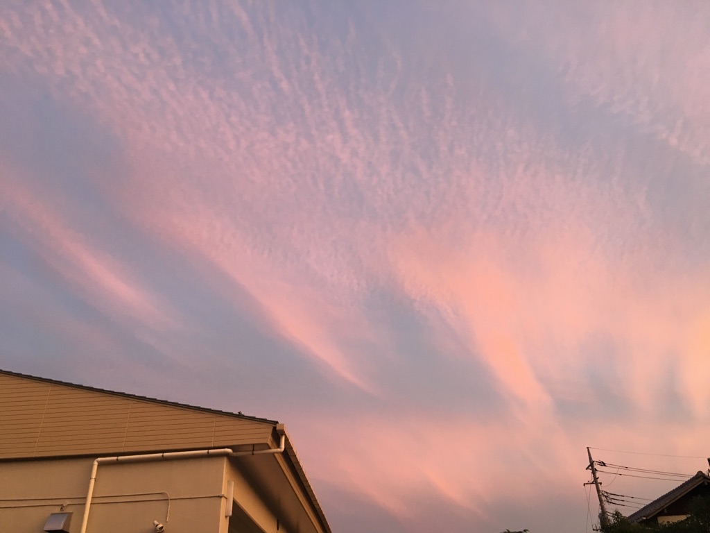 今空♪