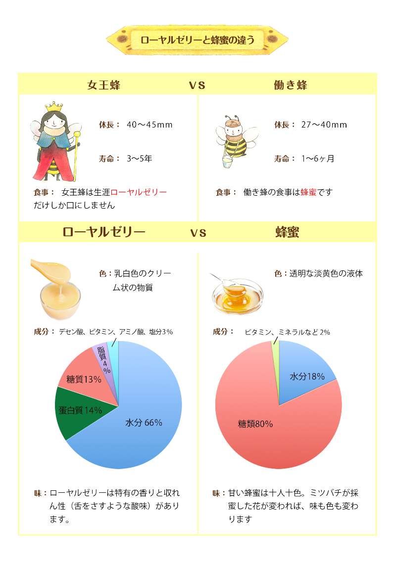 はちみつとローヤルゼリー、何が違うの？