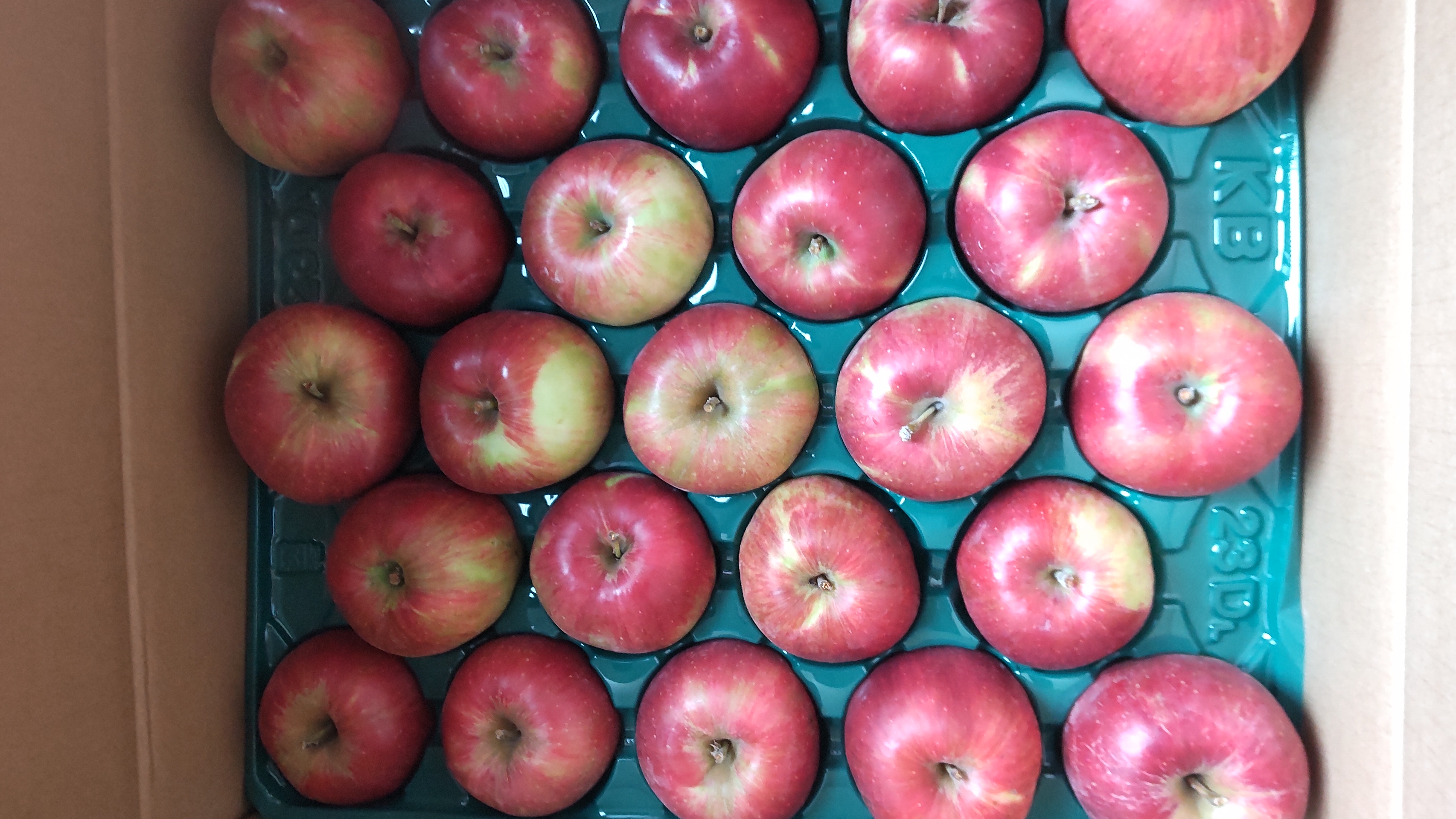今年の新りんご🍎で、りんご餡とおさつシナモンりんごのどら焼きが始まりました！
