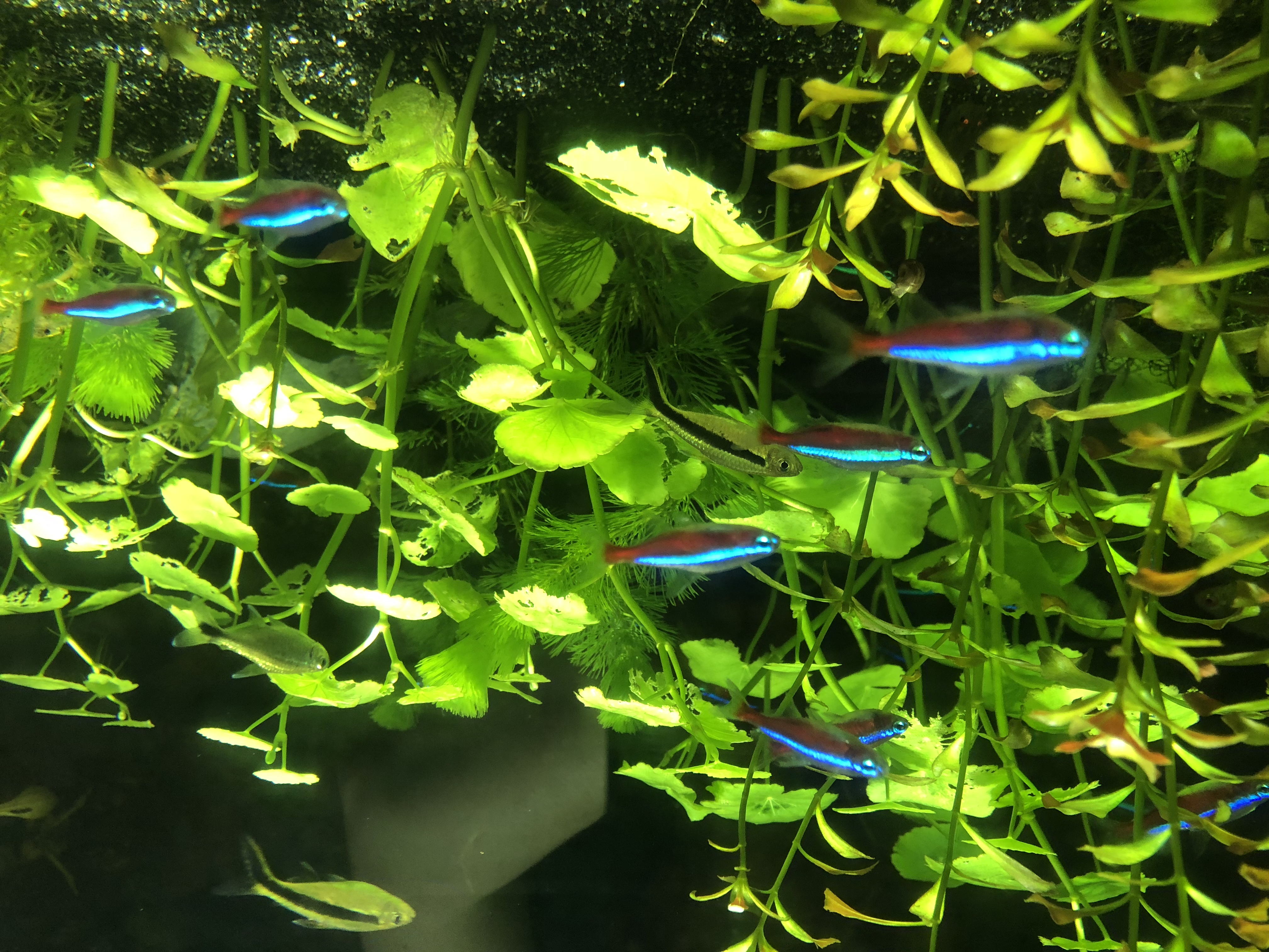 水族館