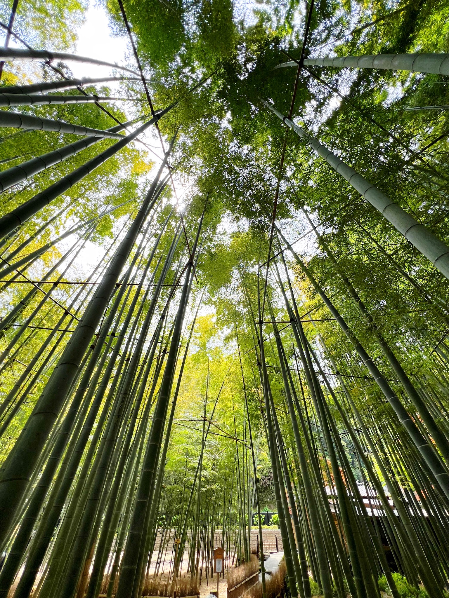 039 #気分転換の方法