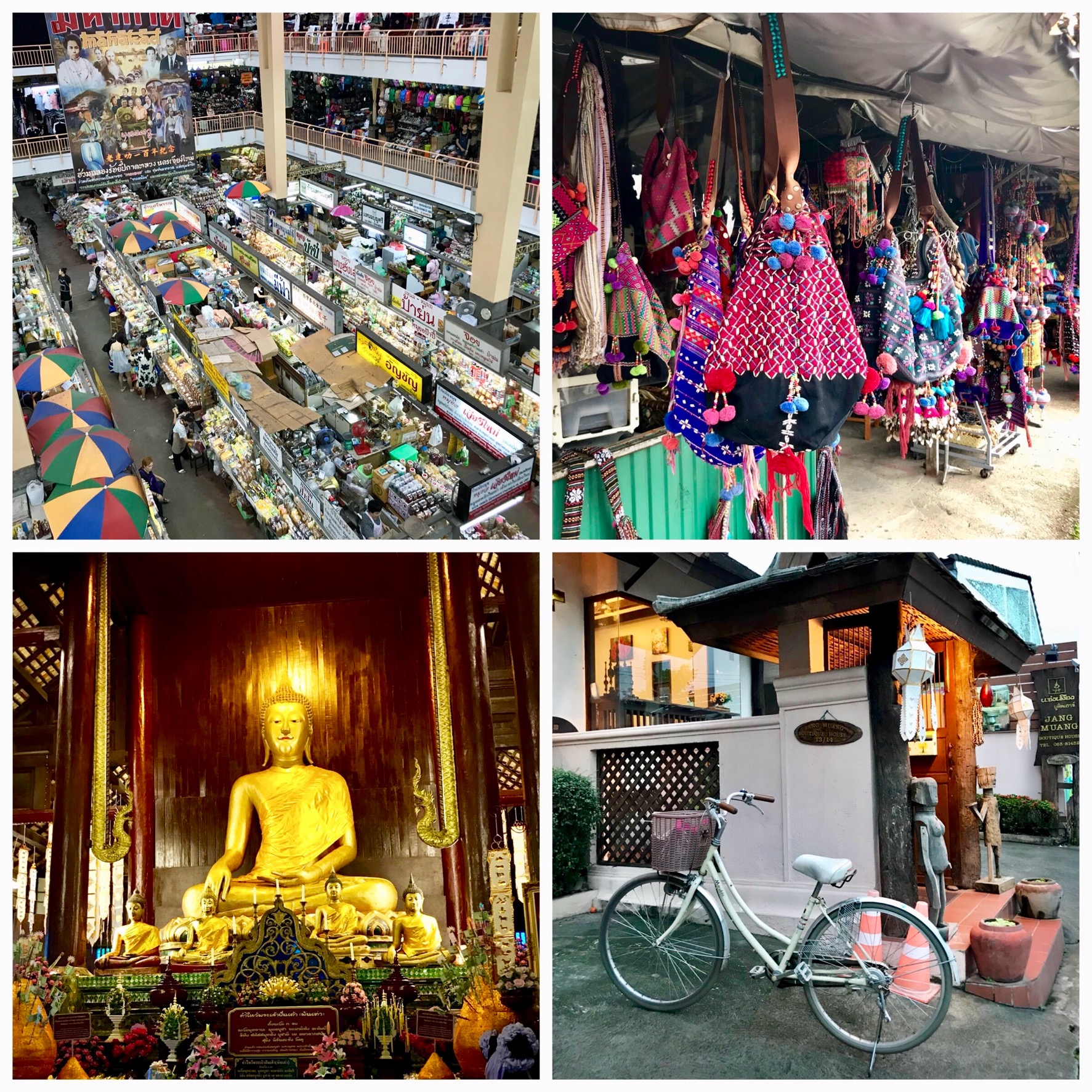チャリンコ生活@Chiangmai