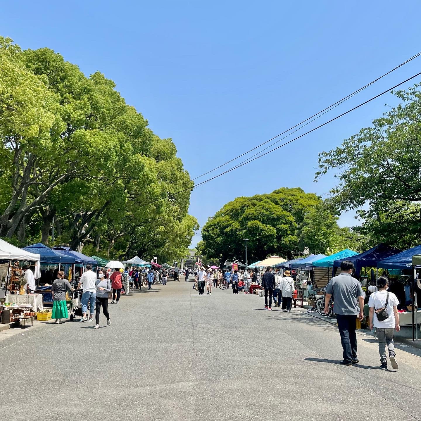 出展のお知らせ🎵　♡筥崎宮蚤の市♡