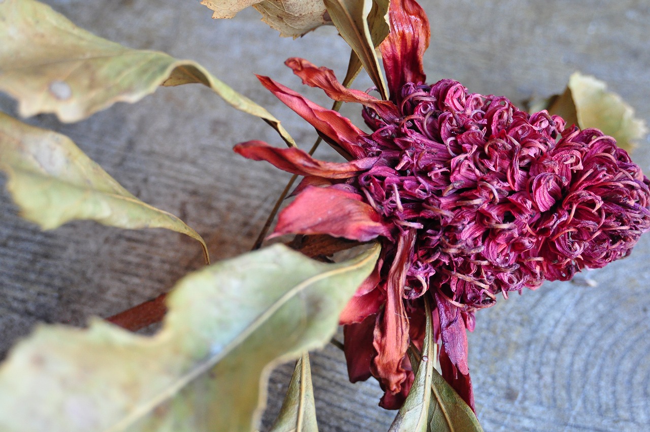 dry flower