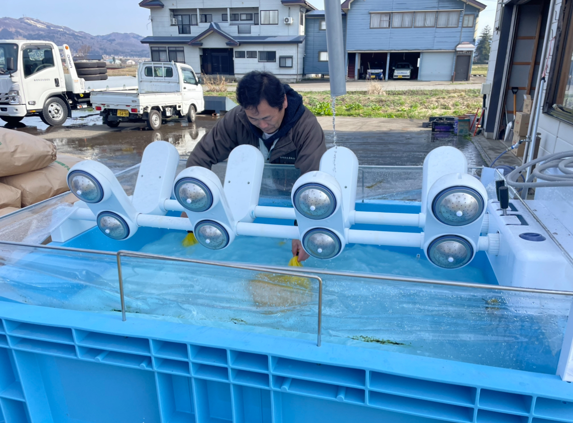 こんにちは〜
