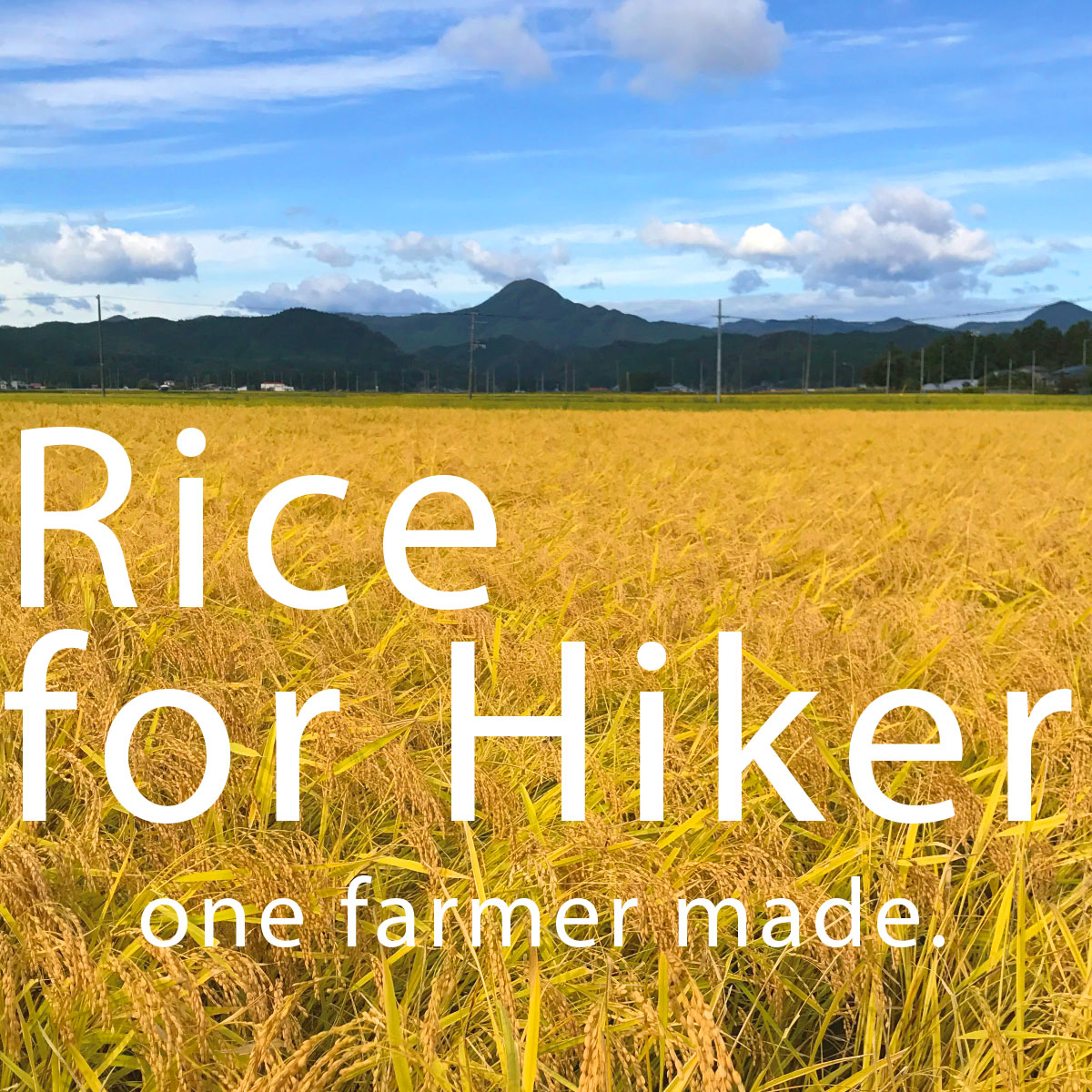 Rice for Hiker