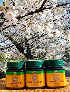 お知らせとお願い